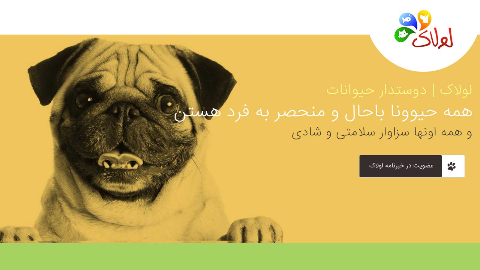تبلیغات کلیکی چگونه نتایج موتورهای جستجو را به نفع شما تغییر می دهند؟