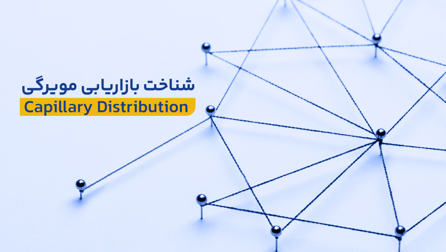 بازاریابی مویرگی چیست؟
